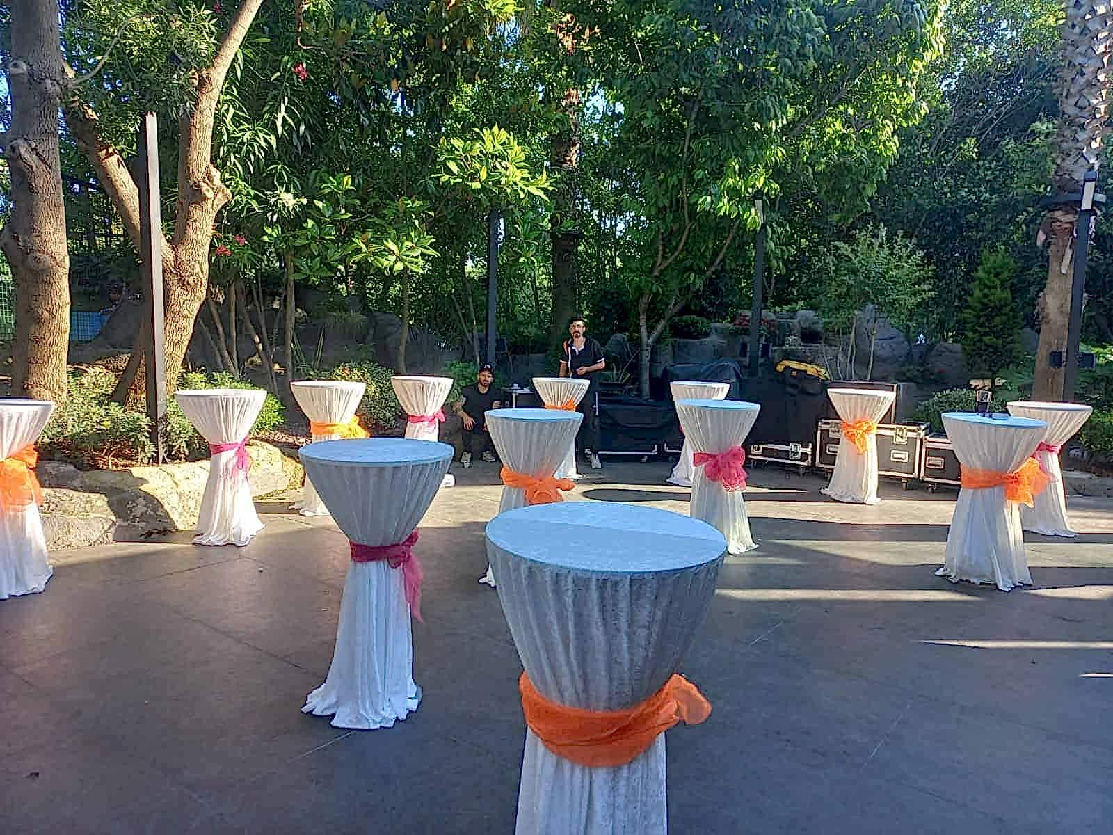 Masa Sandalye Kiralama, Tiffany sandalye , pleksi masa, Napolyon sandalye, Bistro masa, Masa Sandalye Kiralama Fiyatları, masa kiralama, sandalye kiralama