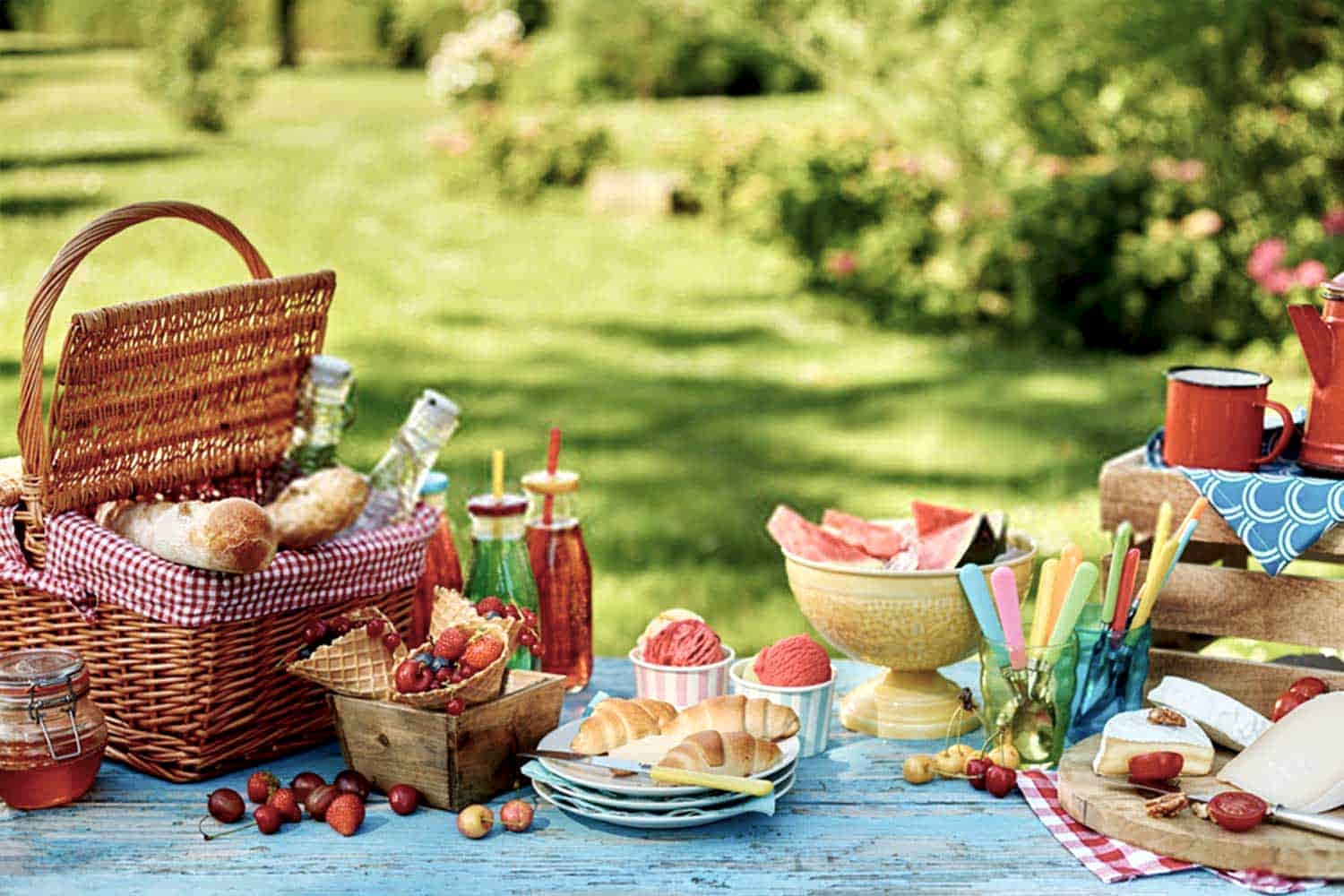Piknik Organizasyonu